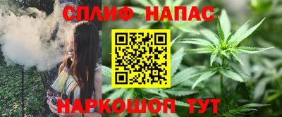 spice Гусев