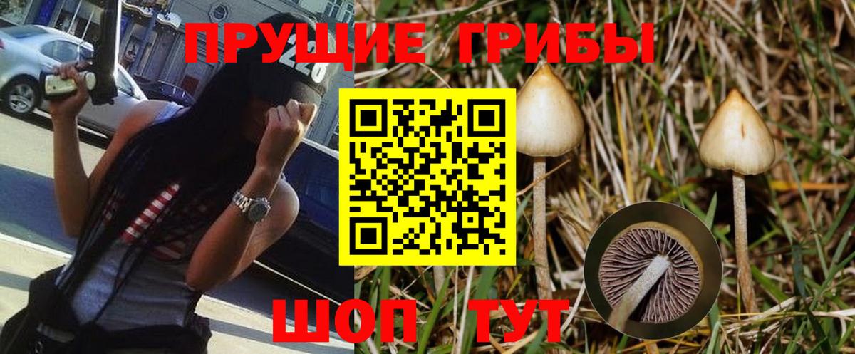 Лосино-Петровский  Псилоцибиновые грибы ЛСД  Псилоцибиновые грибы Psilocybe  как найти   Вход с VPN 
