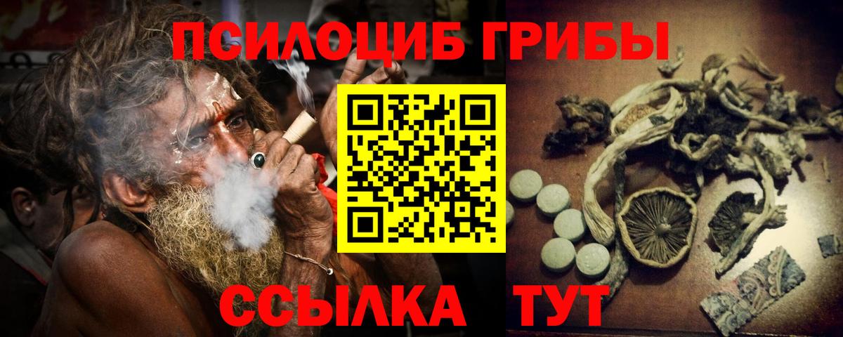 Галлюциногенные грибы Psilocybine cubensis Лосино-Петровский